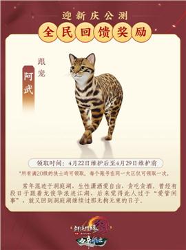 天龙八部私服游戏广告快捷键